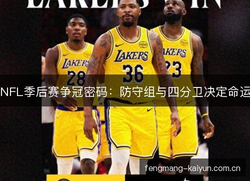 NFL季后赛争冠密码：防守组与四分卫决定命运